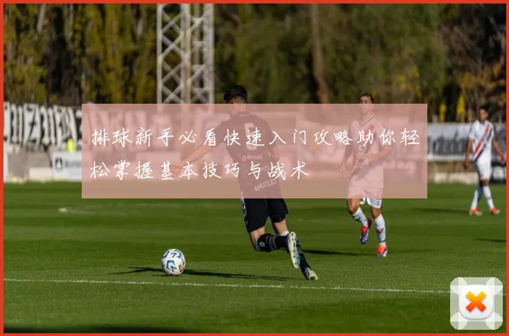 排球新手必看快速入门攻略助你轻松掌握基本技巧与战术